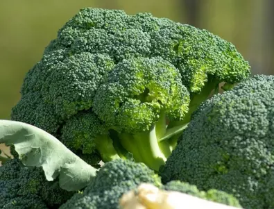 Тези зеленчуци помагат при колит и болест на Крон