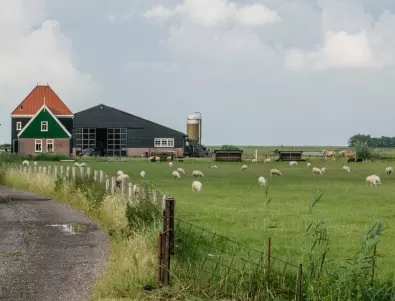 Холандските фермери притиснати до стената - изменението на климата заплаши поминъка им