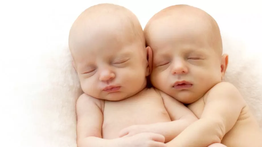 Как се раждат еднояйчни близнаци?
