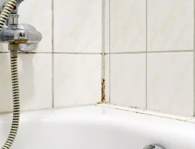 Идеи за премахване на мухъла в банята