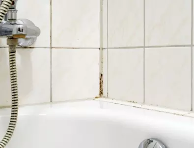 Ето това е най-лесният начин да се отървем от досадния мухъл в банята