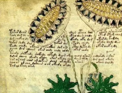 Изследовател откри кой е продал ръкописа на Войнич на император Рудолф