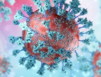 Антителата след обикновена настинка могат да осигурят защита от Covid 