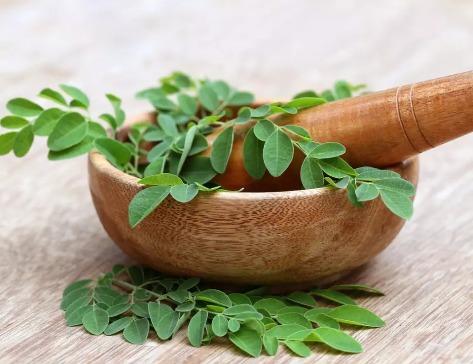 Чудотворното растение Моринга и неговите ползи за здравето