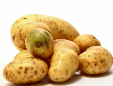 Гурме картофи: Цените на сергиите скочиха драстично