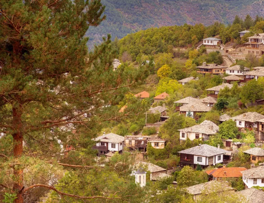 Кое е най-високото село в България?