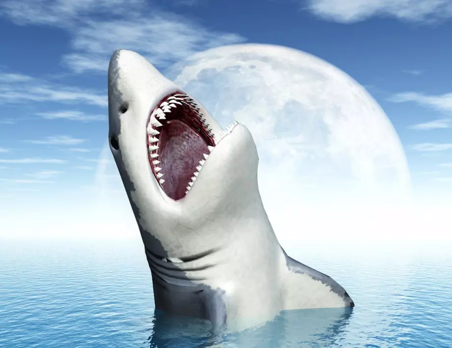 Кои са финансовите акули на зодиака - готови да разкъсат всеки за пари
