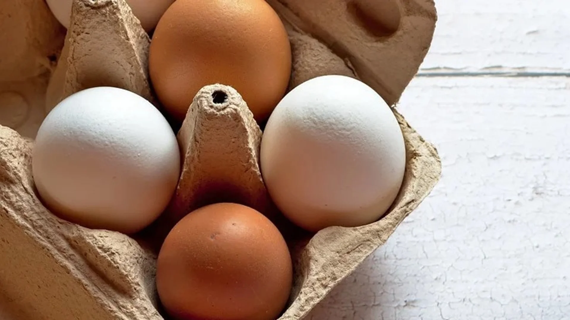Каква е основната разлика между пъдпъдъчи и кокоши яйца?