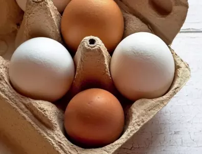 Каква е основната разлика между пъдпъдъчи и кокоши яйца?