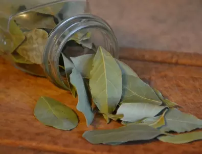 7 неща, които ще се случат в дома ви, ако запалите дафинов лист