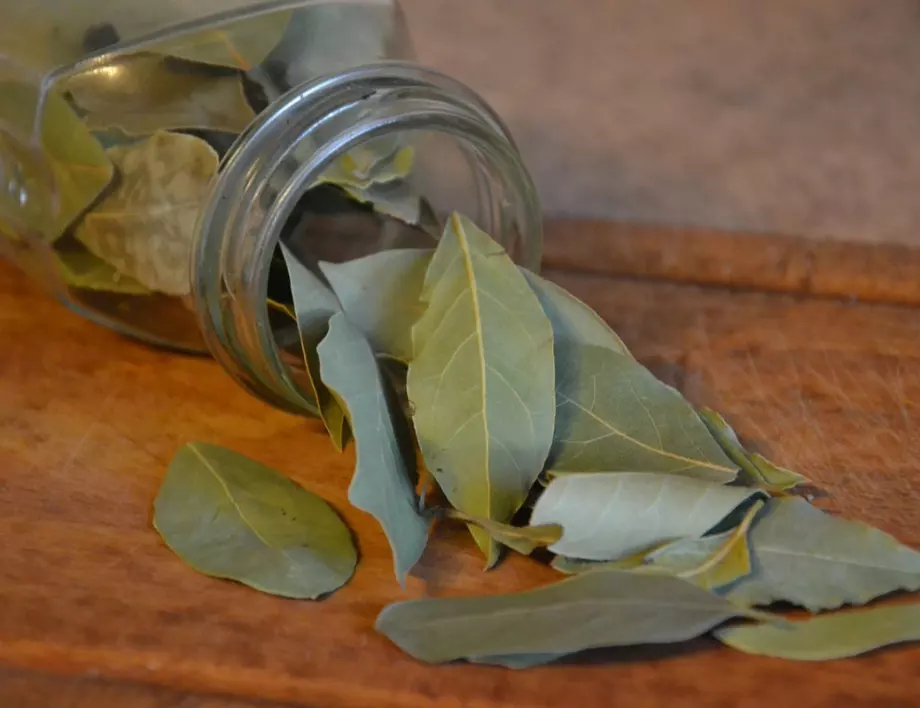 7 неща, които ще се случат в дома ви, ако запалите дафинов лист