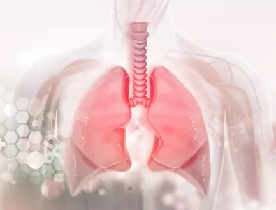 Естествени начини за прочистване на белите дробове