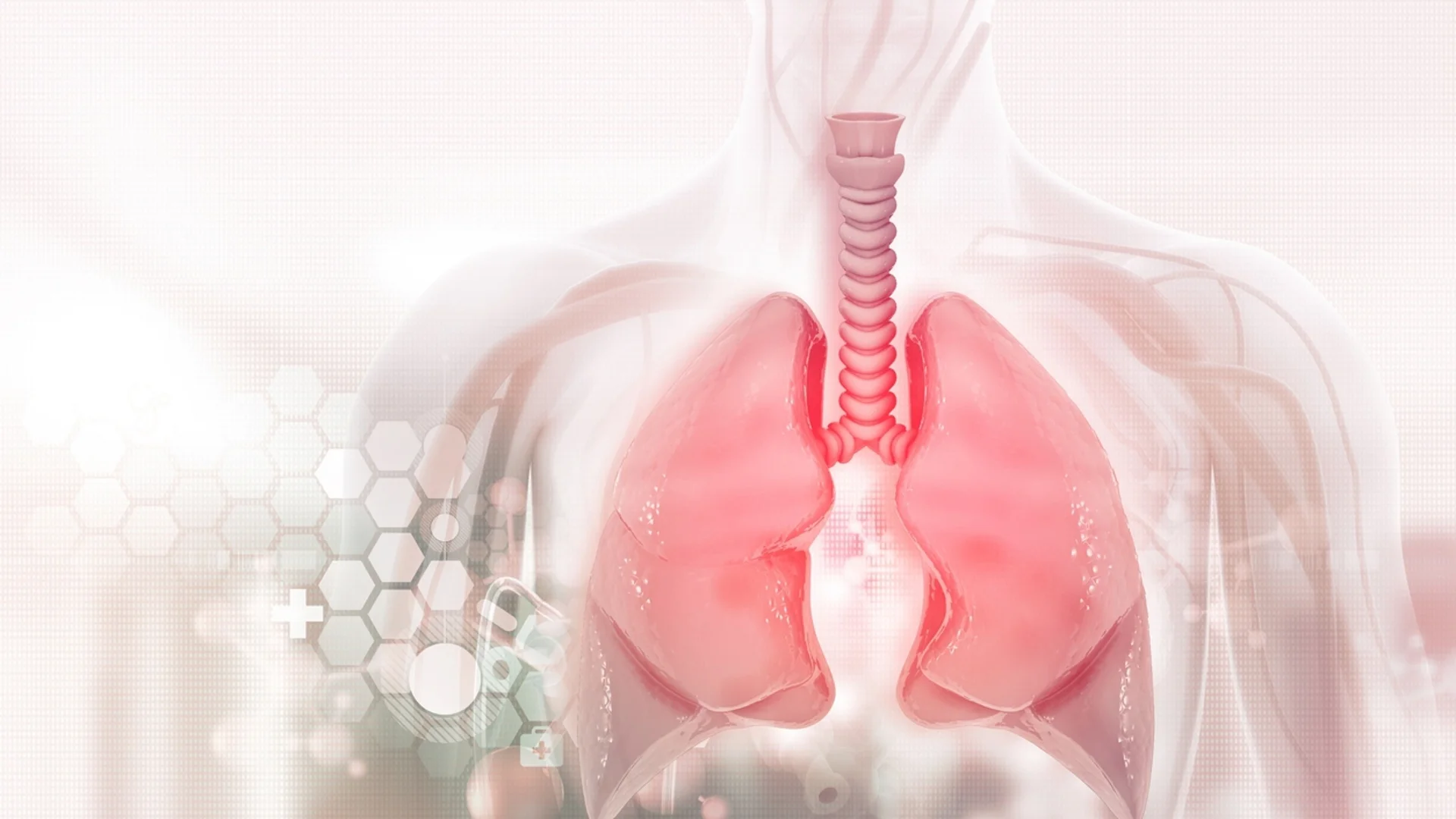За здрави бели дробове - кои храни помагат най-много?