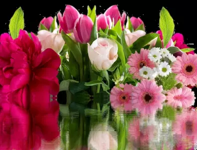 Не подарявайте тези цветя за 8-ми март