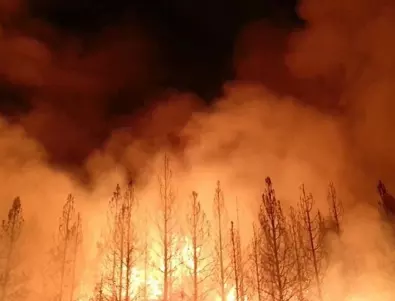 Голям горски пожар на Халкидики 