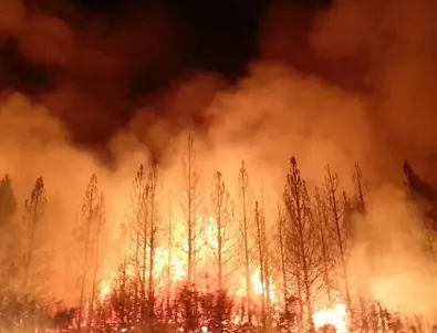 Пожарите във Франция са неудържими, пламъците достигат 100 метра височина 