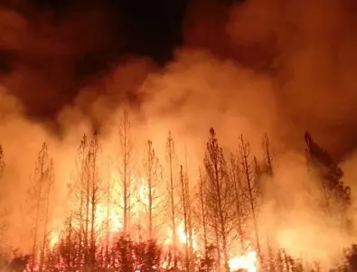 Евакуираха хиляди заради горски пожари в Канада 