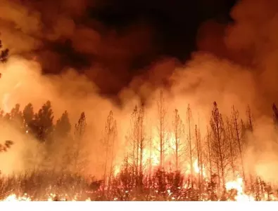 Канада търси чуждестранна помощ за борба с горските пожари