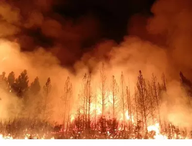Увеличават се жертвите на горските пожари на Хаваите (ВИДЕА)