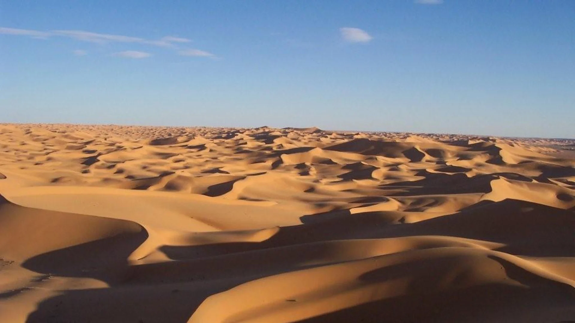 Възраждането на Сахара: как пустинята да стане зелена