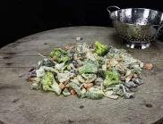 Австрийка намери глава на плъх в пакет замразени зеленчуци