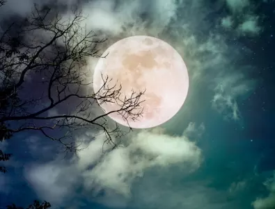 Физици обясниха защо на Луната се образуват левитиращи облаци прах
