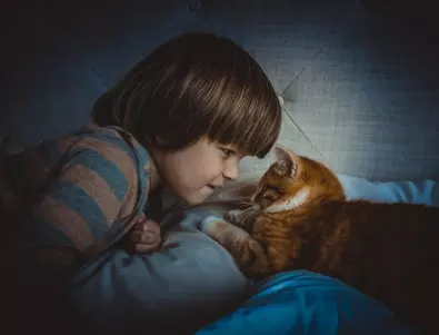 Защо котките НЕ Е добре да спят с деца