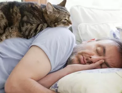 Учени: Тази специална терапия с котка лекува тревожност и депресия