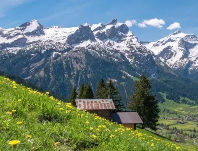Знаете ли кой е най-високият връх в Алпите?