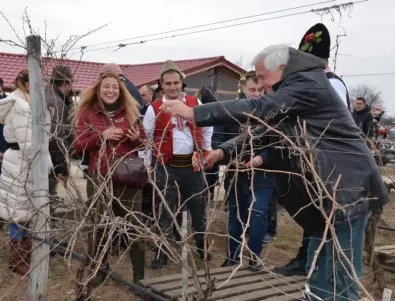 Министърът на земеделието и кметът на Видин зарязаха лозята