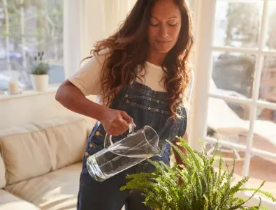 Хитрите домакини поливат цветята си с чеснова вода - ето каква е причината