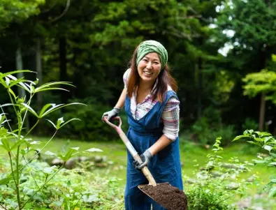Грижа за градината през ноември: Добри съвети от успешни градинари