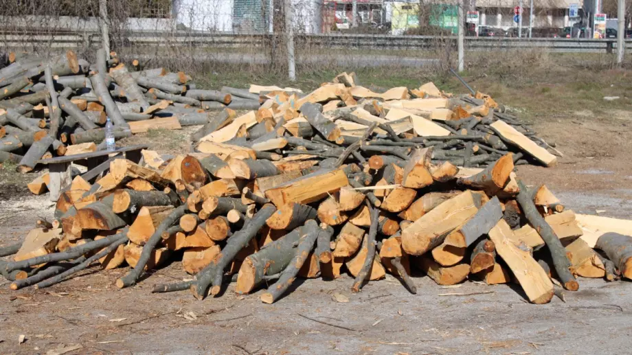 Задържаха кмета на благоевградско село за незаконен превоз на дървесина