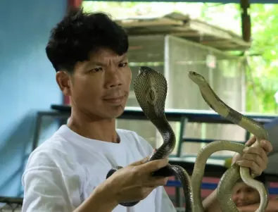 Човекът, който прекара 72 часа с отровни змии, за да докаже, че са приятелски настроени