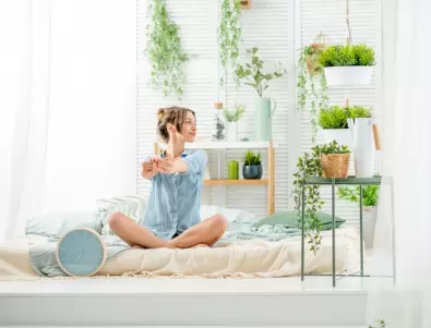 Ако отглеждате тези растения в спалнята си, сънят ви значително ще се подобри 
