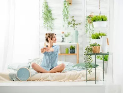 Сложете ги в спалнята си: 3 стайни растения, които ще подобрят здравето ви
