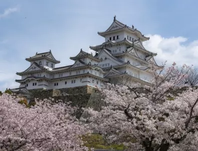8 неща в Япония, които ще ви изненадат сериозно