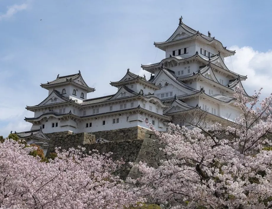 7 изумителни факта за Япония, които не знаете