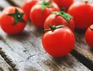 Как да отглеждаме чери домати в саксия