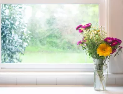 7 неща е по-добре да не държите на перваза на прозореца: Грешките на всяка втора домакиня
