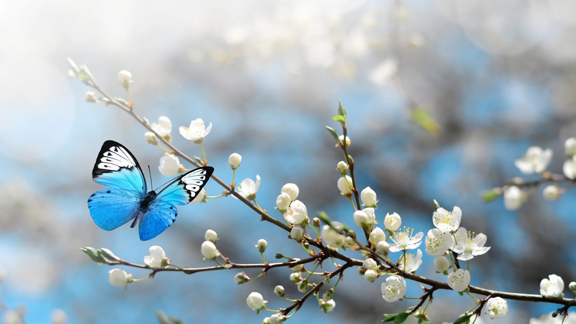 Прогноза за времето - 15 март 2024 г. (петък)