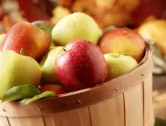Учени разкриха защо хората над 40 години трябва да ядат ябълки всеки ден
