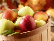 Как задължително се съхраняват ябълките, за да не се развалят през зимата?
