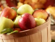 Лекар разкри какво ще се случи, ако НЕ ядете ябълките правилно
