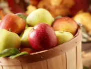 Полезна ли е кората на ябълката – отговорът изненада мнозина