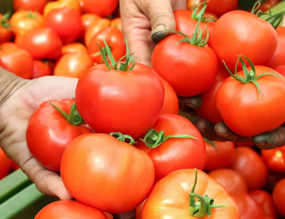 С това подхранване доматите в градината ще издържат и на най-големите жеги