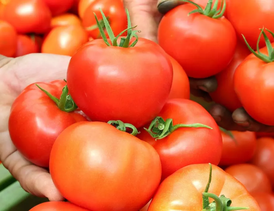 За градинари: Пръскане на домати, краставици и пипер за буен разтеж