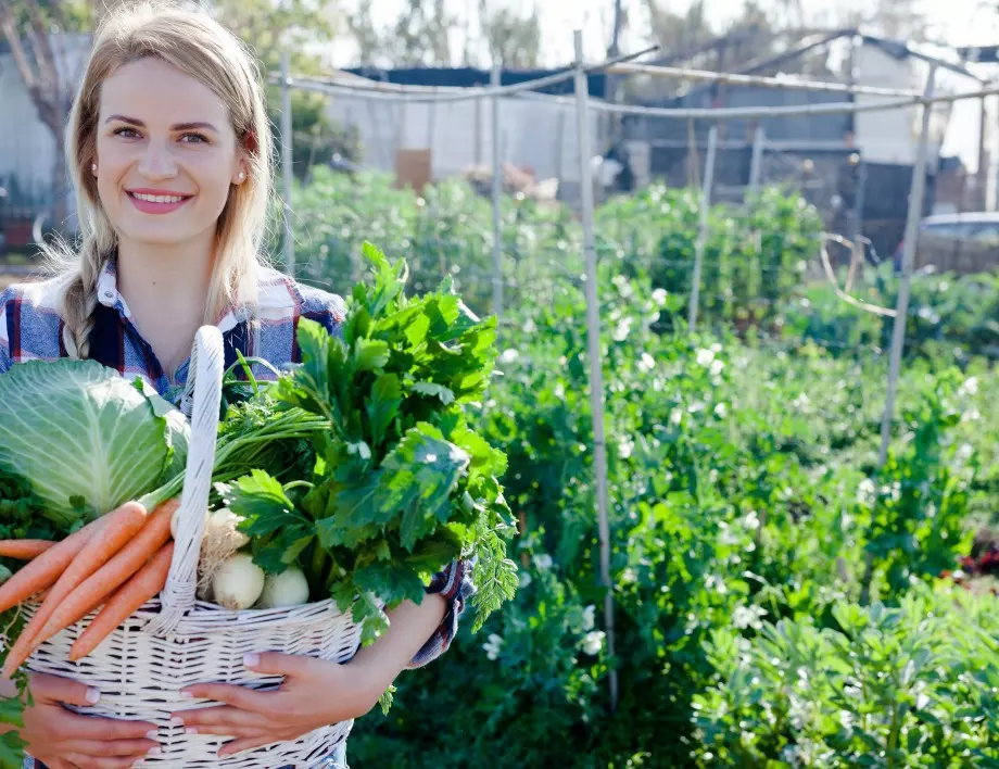 Коя сладкарска съставка може да спаси растенията в градината ни?