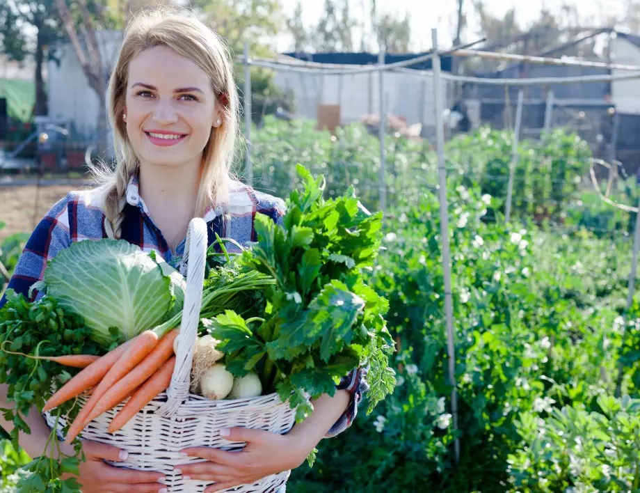 7 големи грешки, които всеки градинар допуска