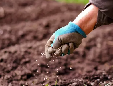Експерт: Спрете да използвате тези торове, те са вредни не само за почвата, но и за здравето